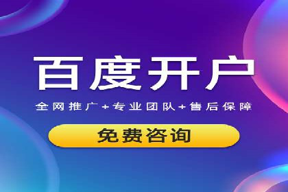 成功SEM推广代运营案例展示